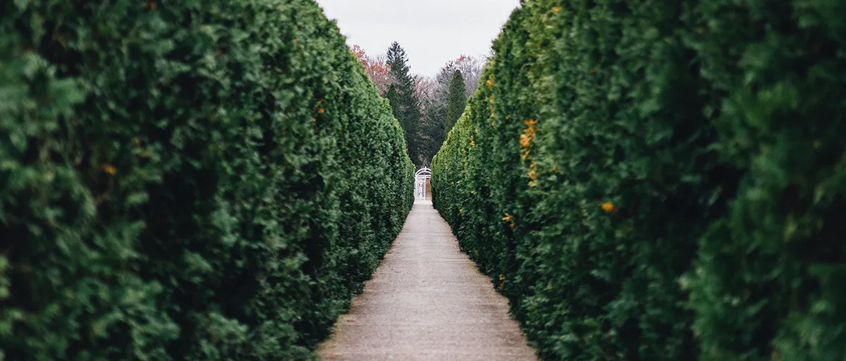 Front Page -Alpha Shop banner912